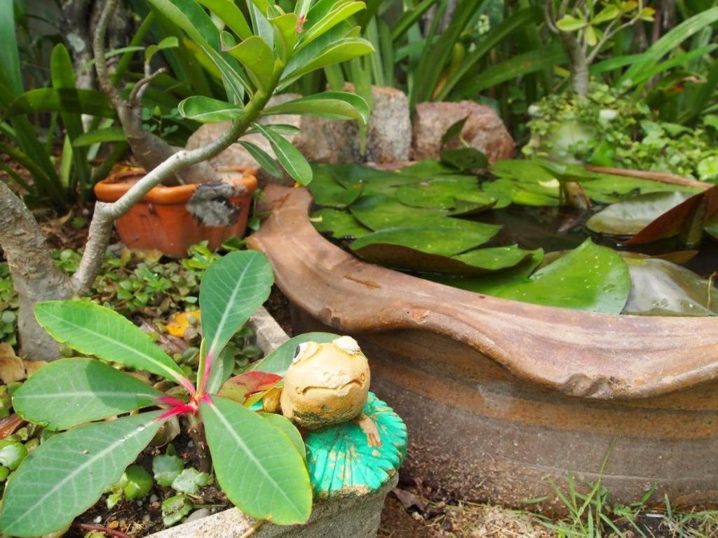 Baan Sala Lung Dam Hotel 波普托 外观 照片