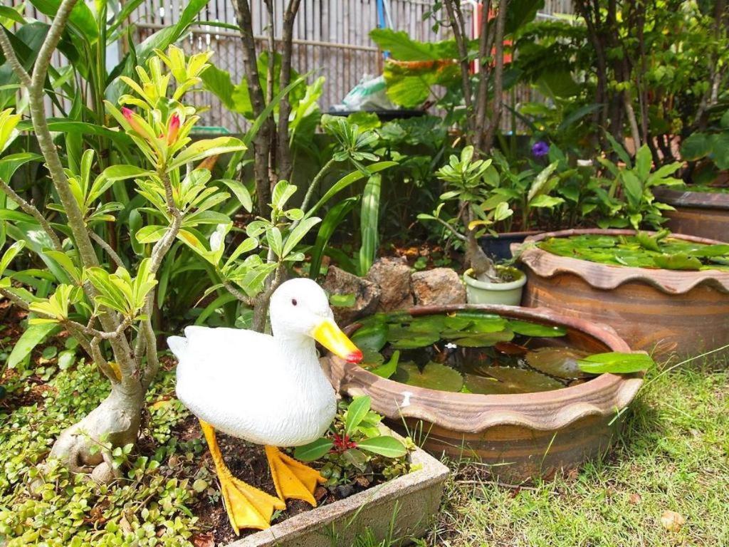 Baan Sala Lung Dam Hotel 波普托 外观 照片